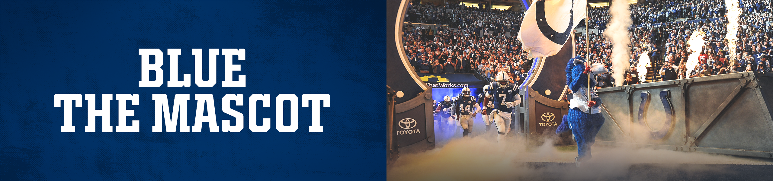 Indianapolis Colts Blue The Mascot