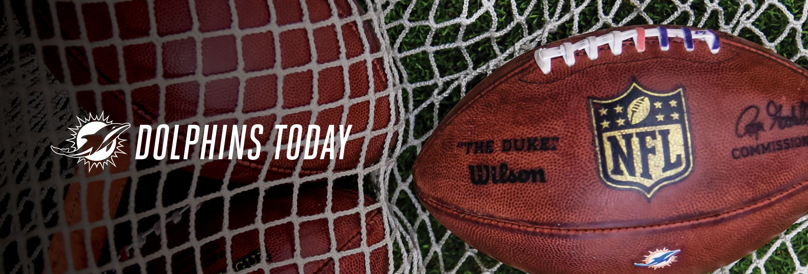 Header: Graphic - Dolphins Today