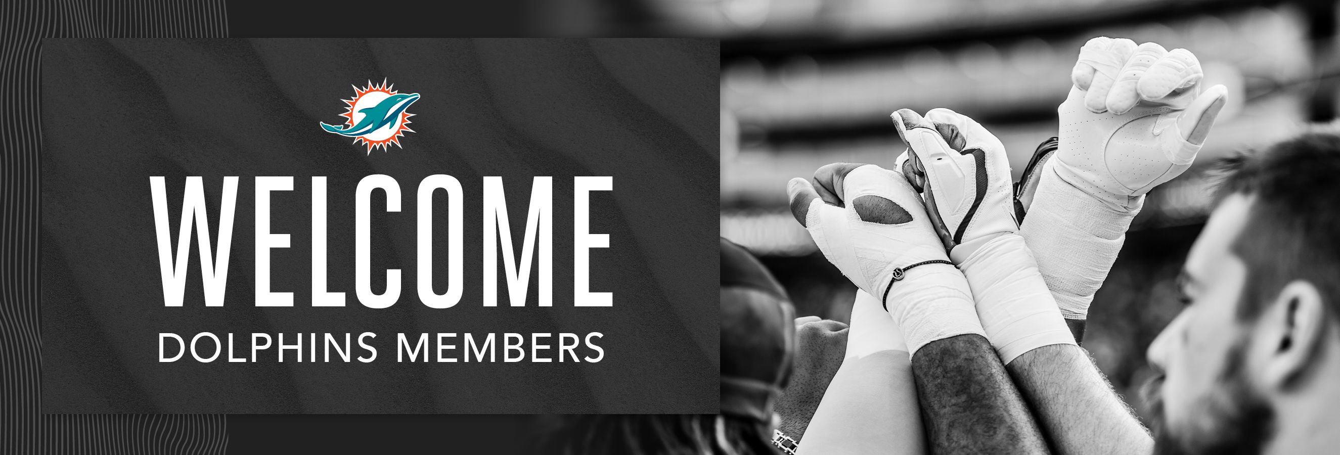 HEADER: Welcome Dolphins Members, Dolphins logo