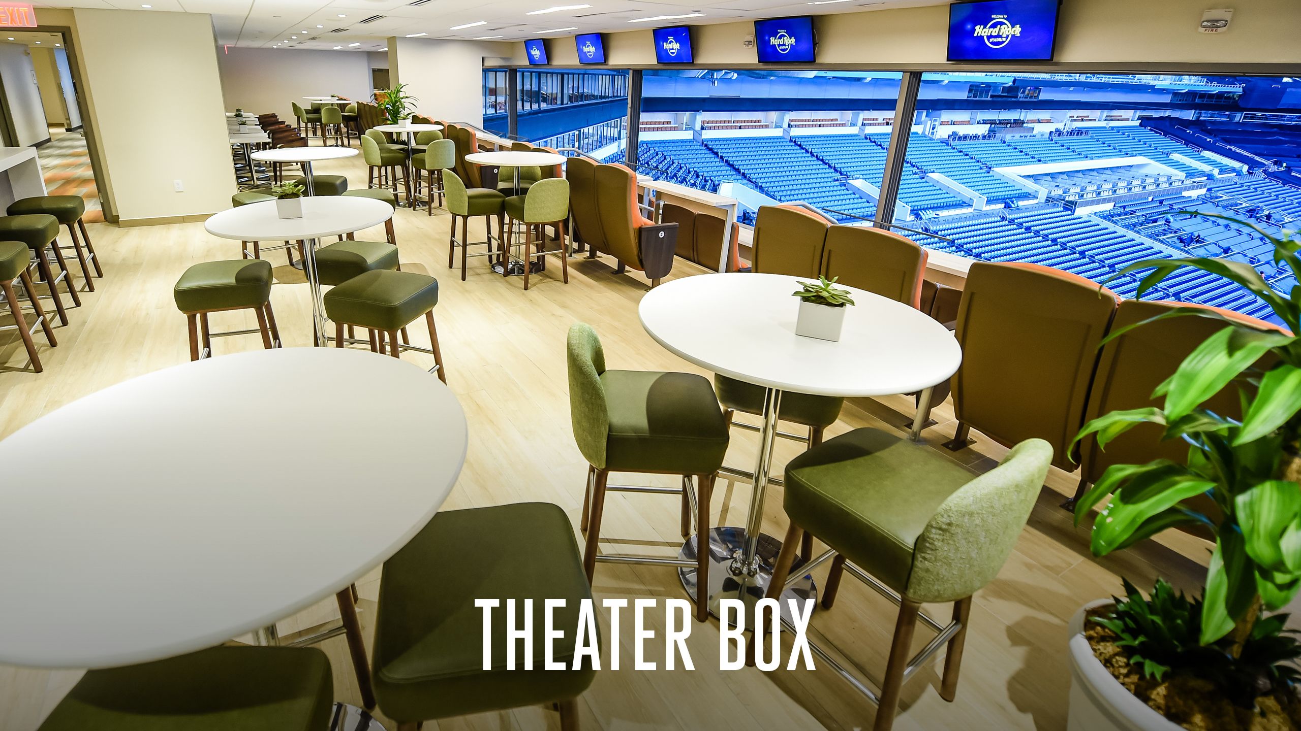 Dolphins boxes to offer comforts of home