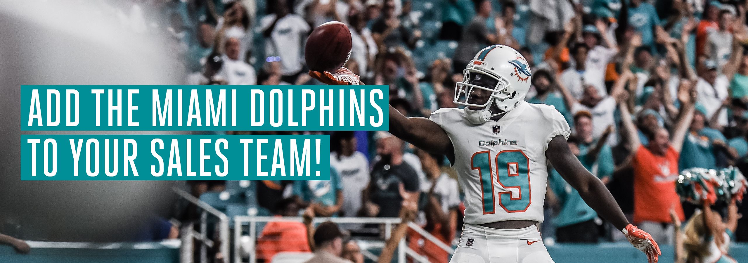 Add Dolphins To Your Sales Team