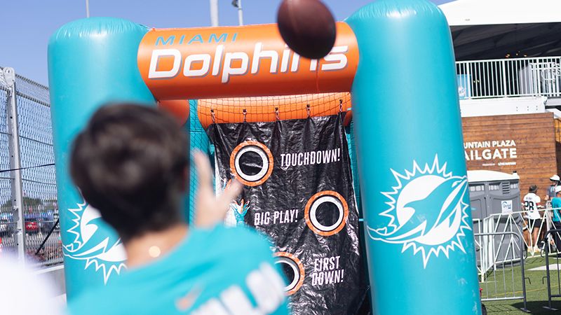 Photo of Dolphins Fan