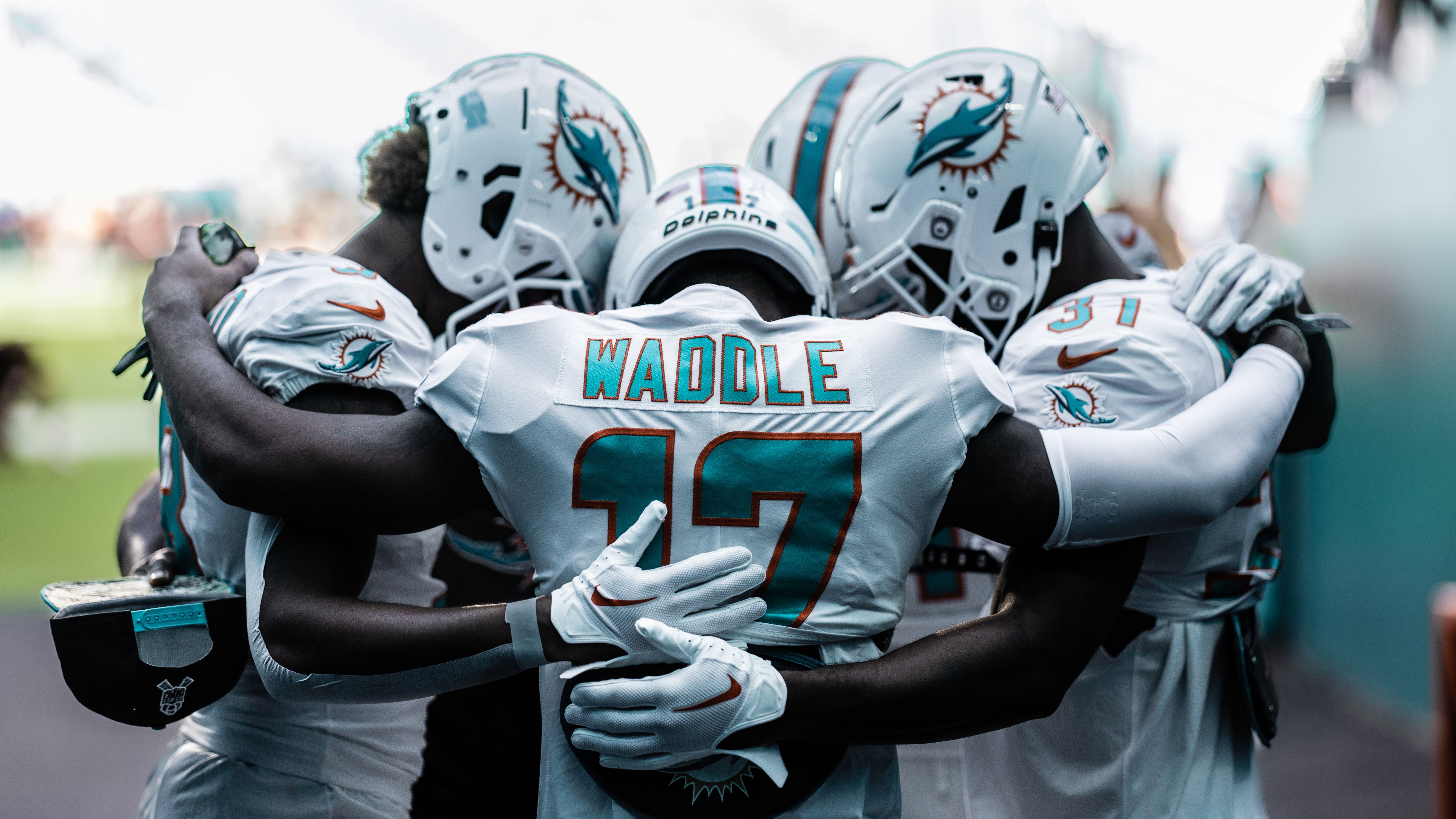 the dolphins american football