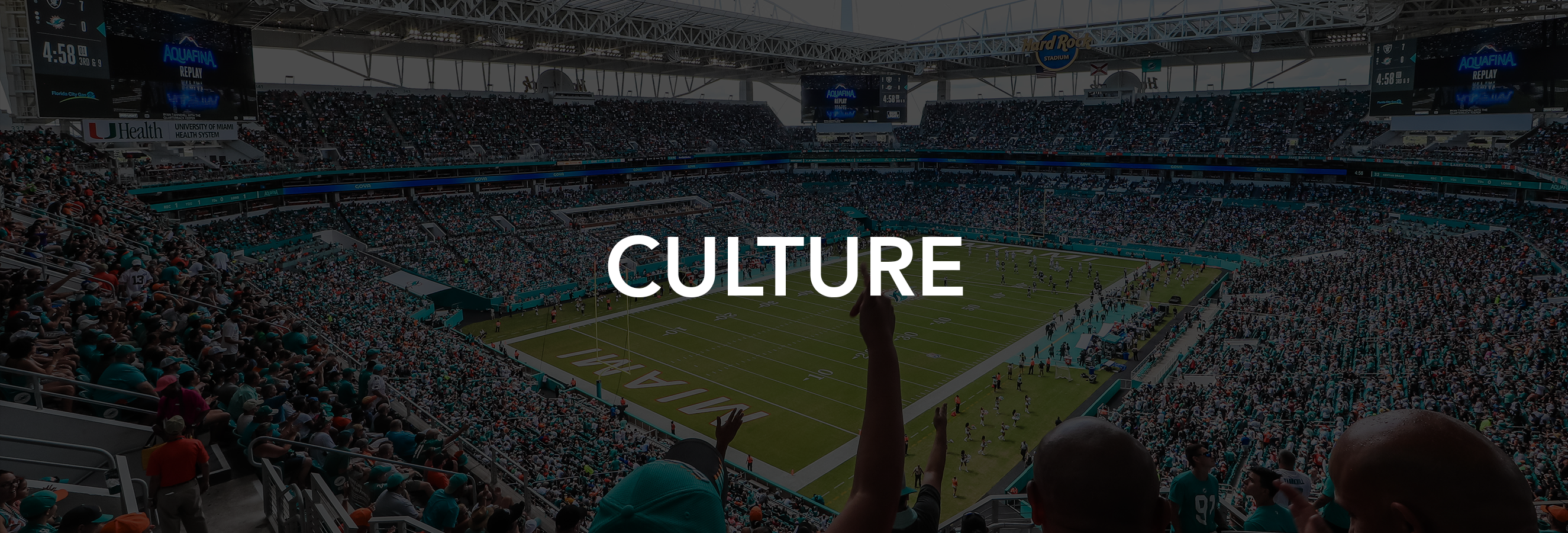 Working At Miami Dolphins: Company Overview and Culture - Zippia