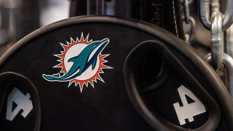 Photo of Dolphins Logo