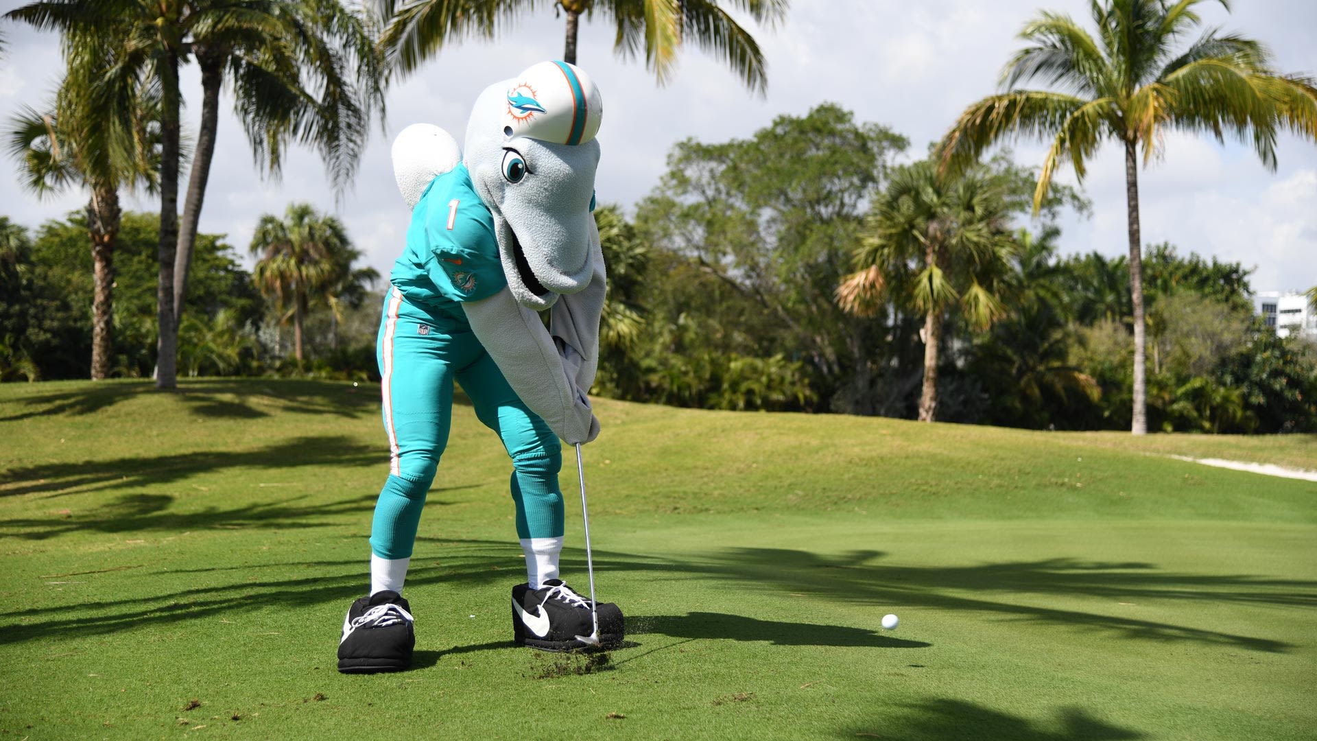 : Miami Dolphins Golf