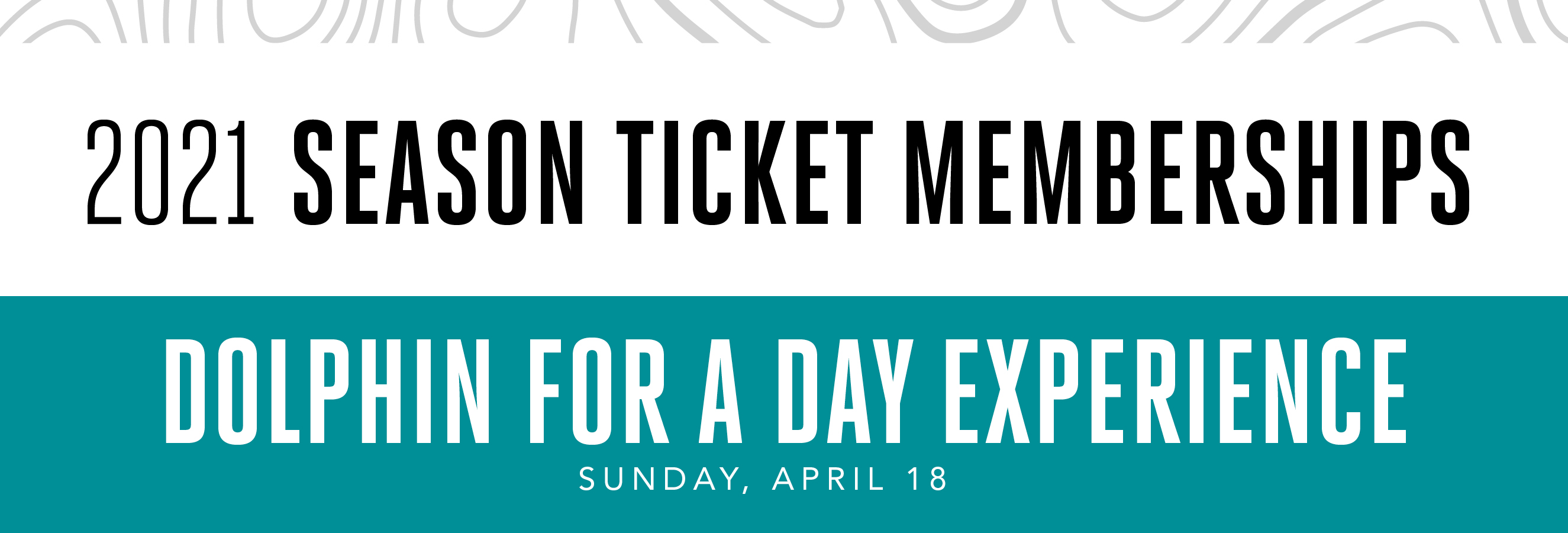 Dolphin for a Day Experience: 2021 Season Ticket Memberships