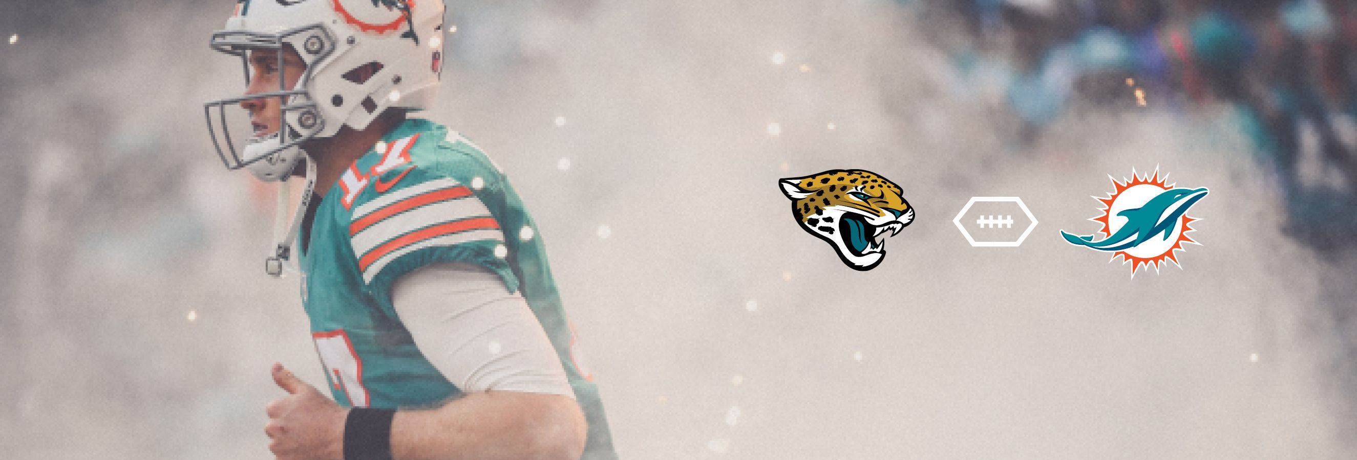 WEB_Dolphins_Home_Game_Invites8