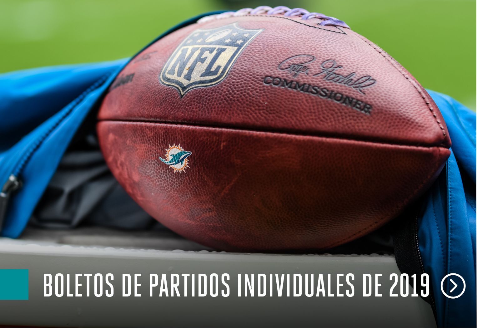 espanol rolletos de paridos individuales de 2019