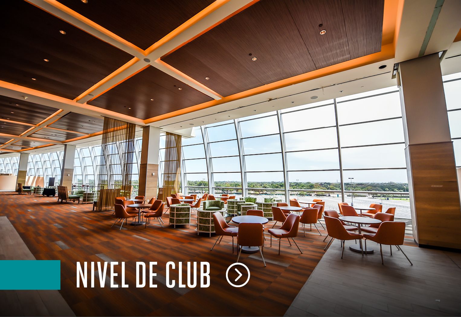 MD_Website_Banner_Spanish5