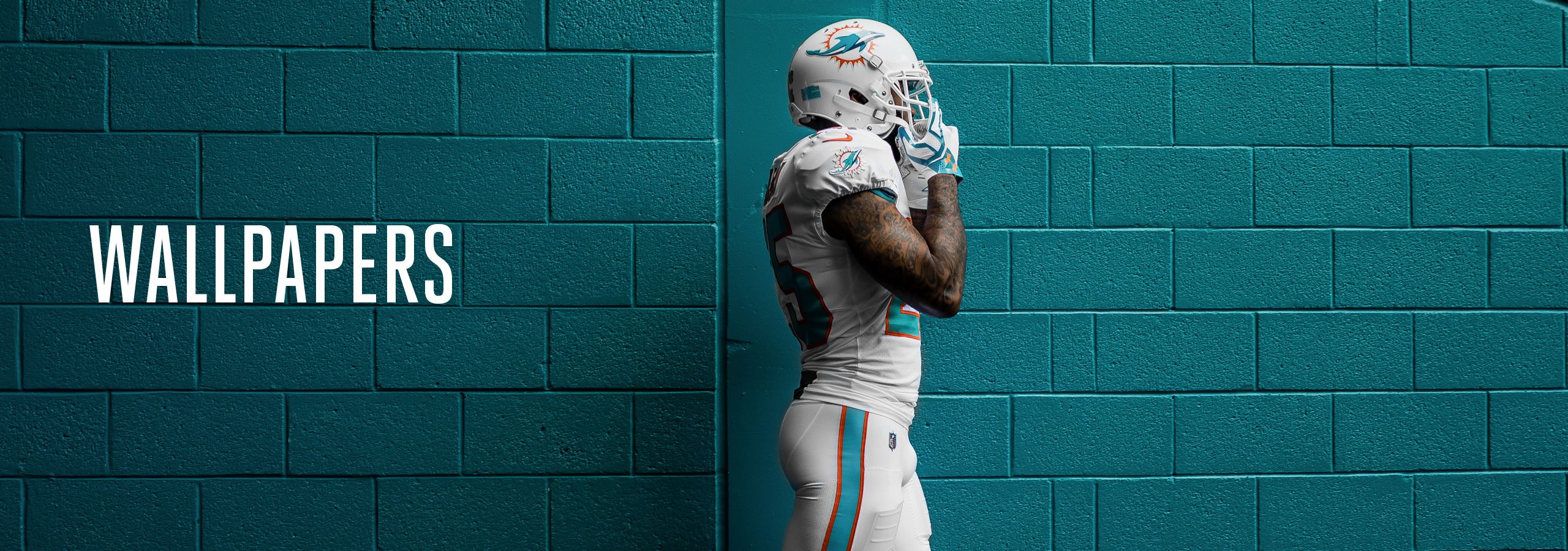 Dolphins Wallpapers Miami Dolphins Dolphins Com