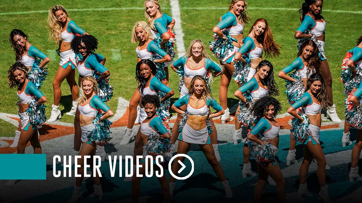 dolphins cheerleader outfit