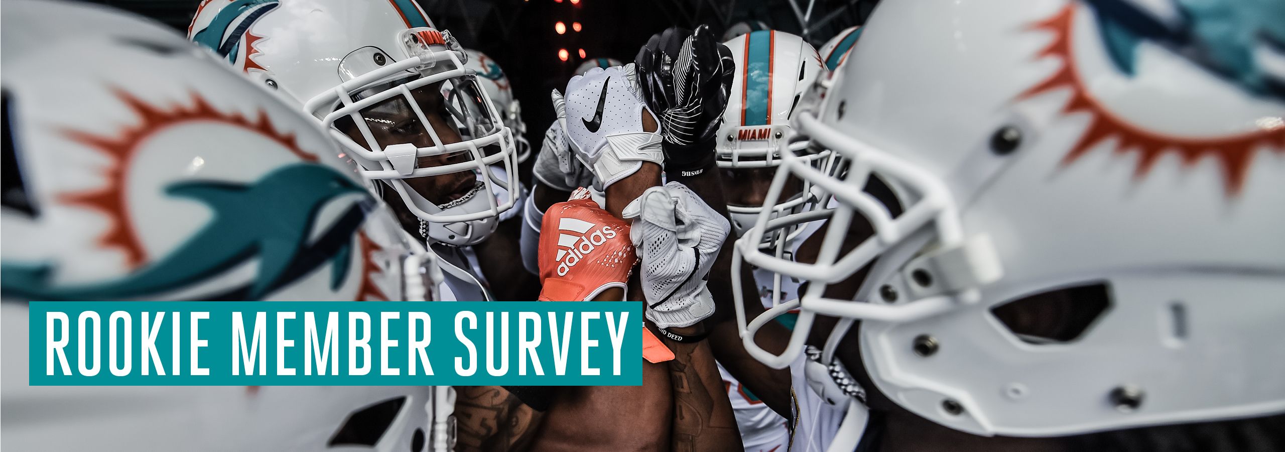 MD_Website_Rookie_Survey