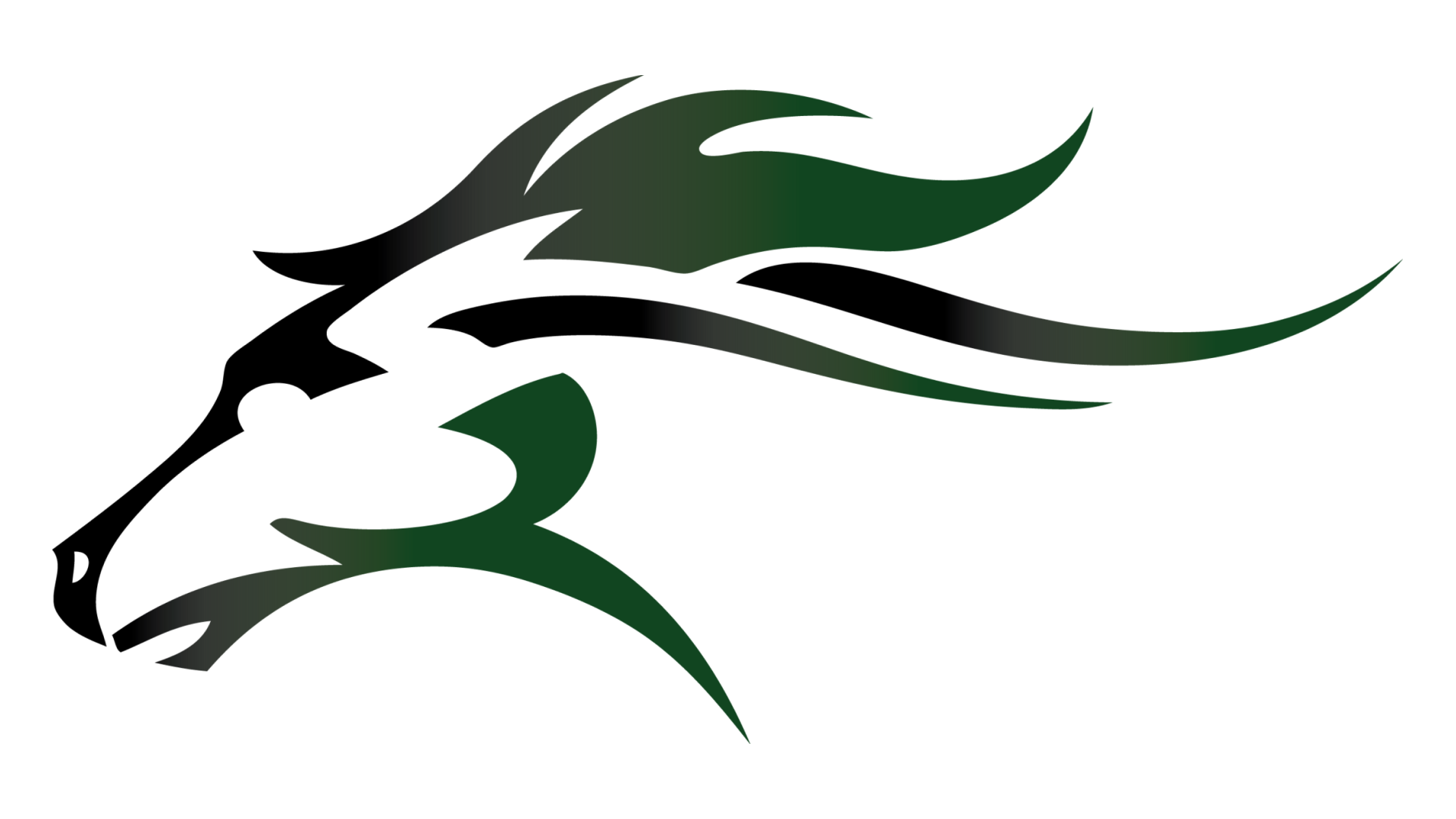 Mainland High School