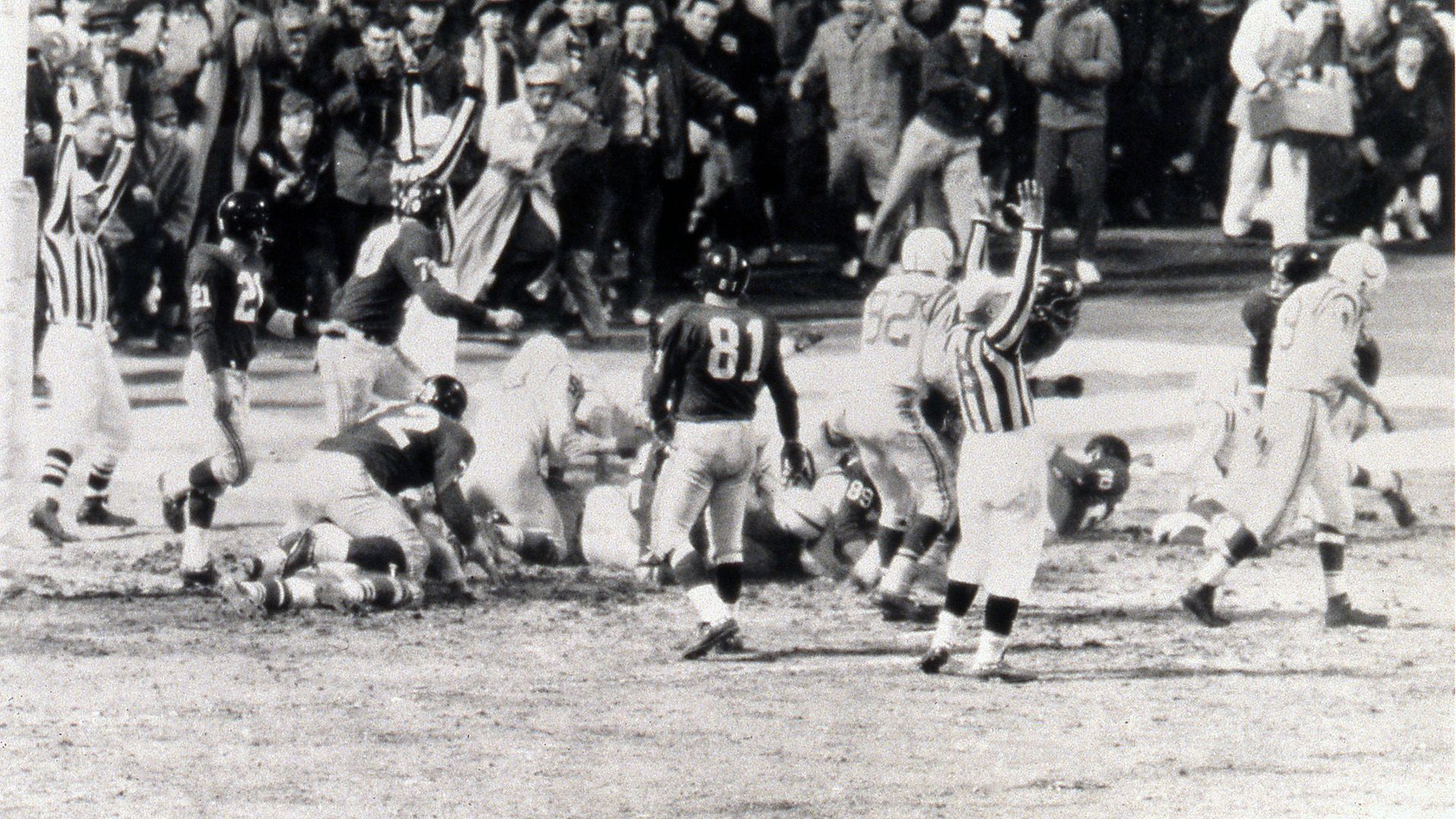 Buffalo Bills wide receiver Cole Beasley (11) after a catch against the Tampa Bay Buccaneers during the second half of an NFL football game Sunday, Dec. 12, 2021, in Tampa, Fla. (AP Photo/Mark LoMoglio)