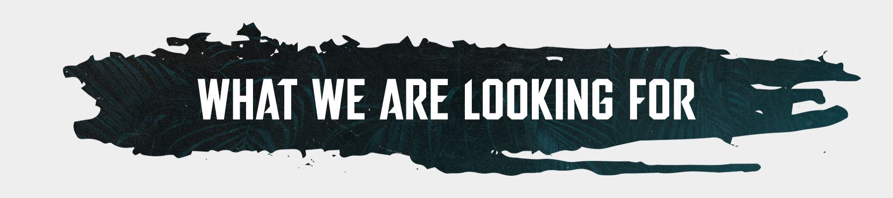 What-We-Are-Looking-For