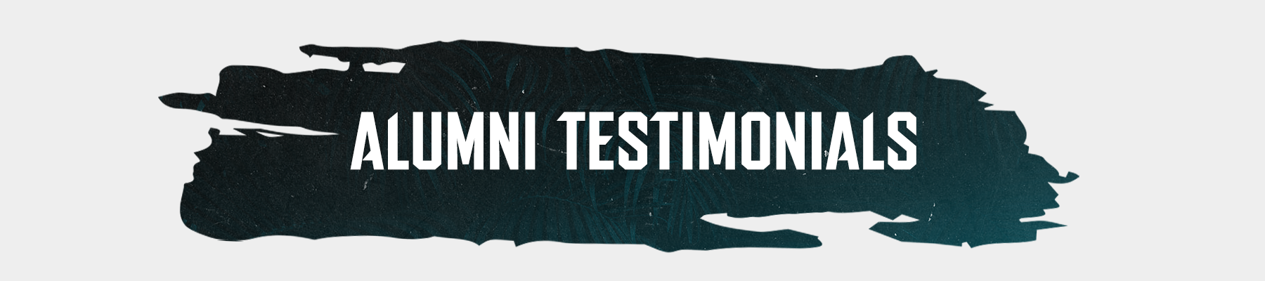 Team-Testimonials