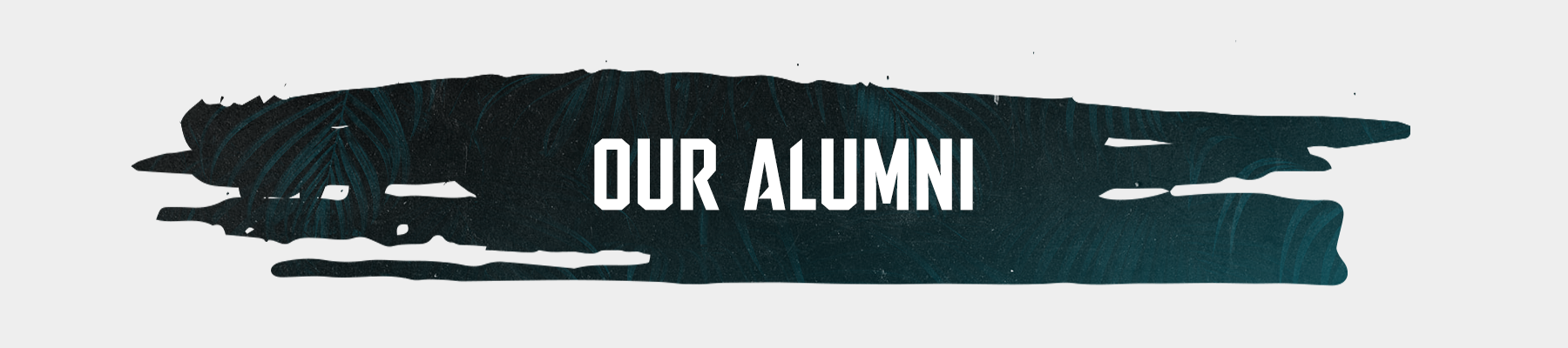 OUR-ALUMNI