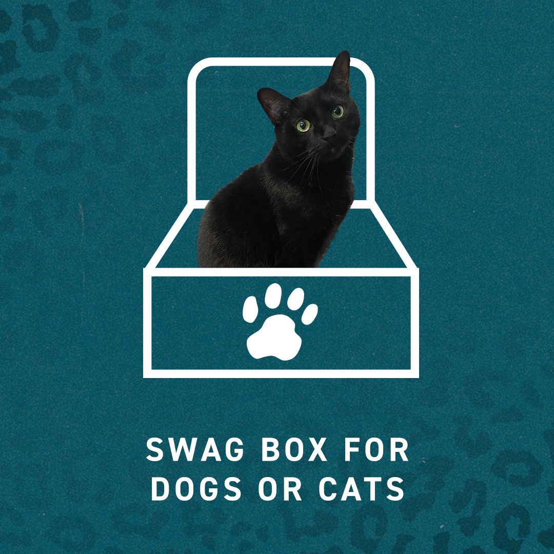 FLFC-BenefitIcons-SwagBox