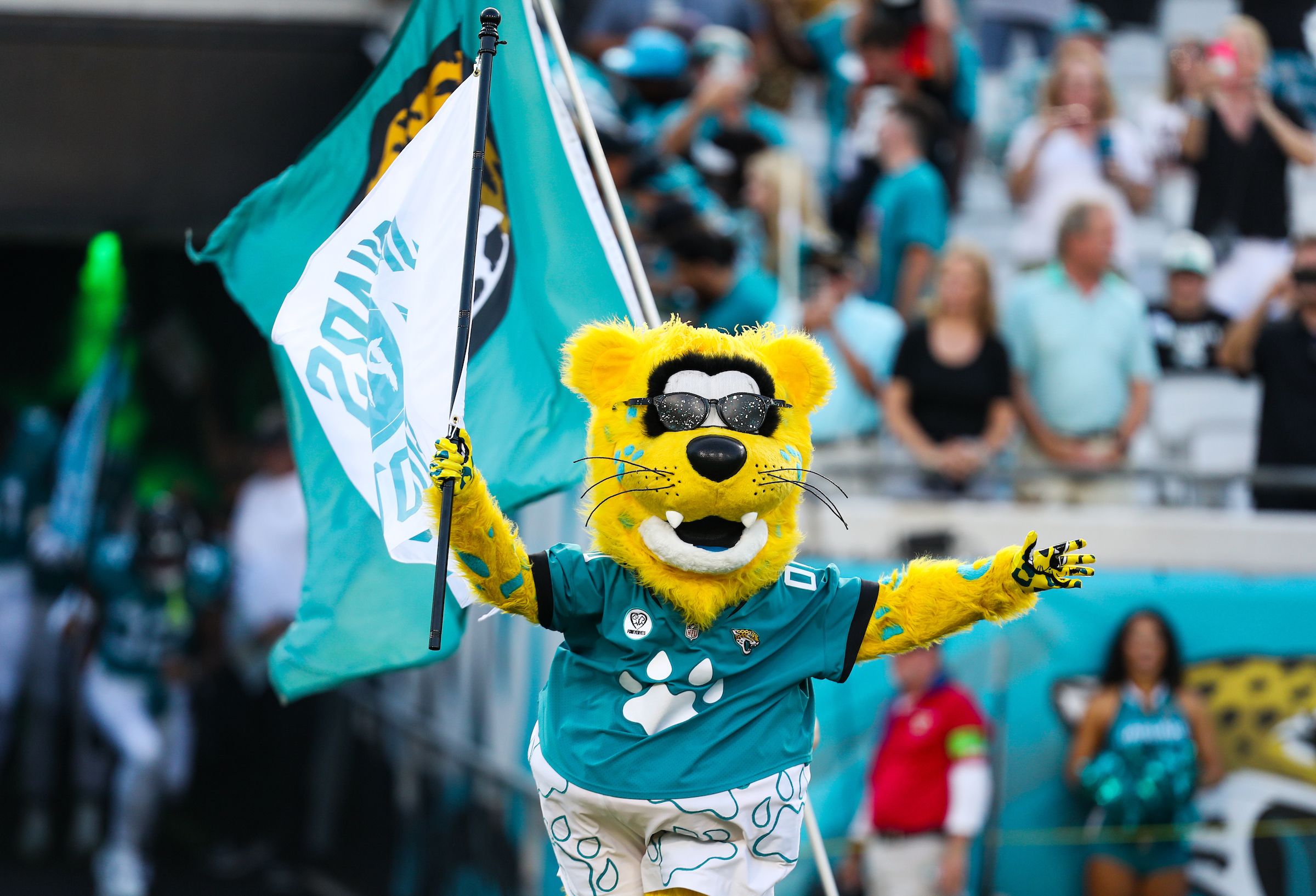 Jacksonville Jaguars Location, Schedule & Fan Experience