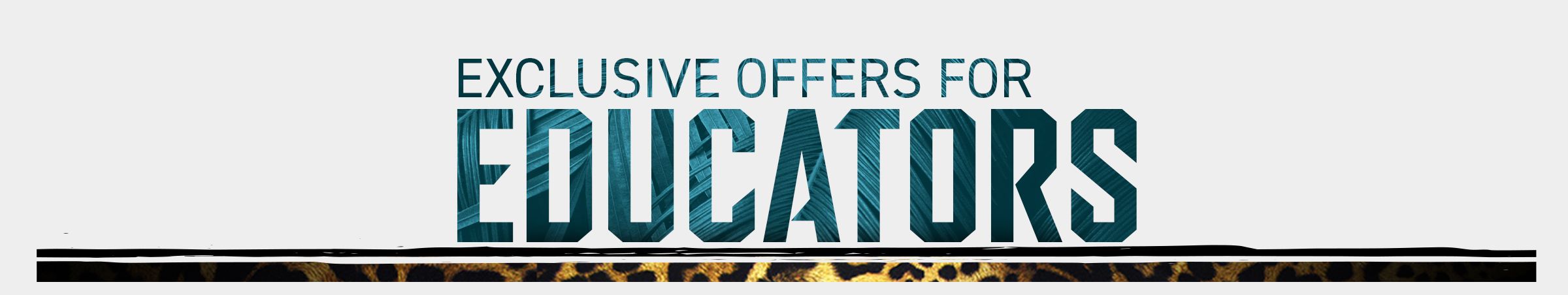 jacksonville jaguars teacher discount