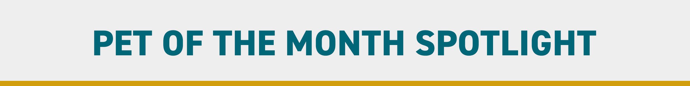 Pet of the Month Spotlight Banner - V2