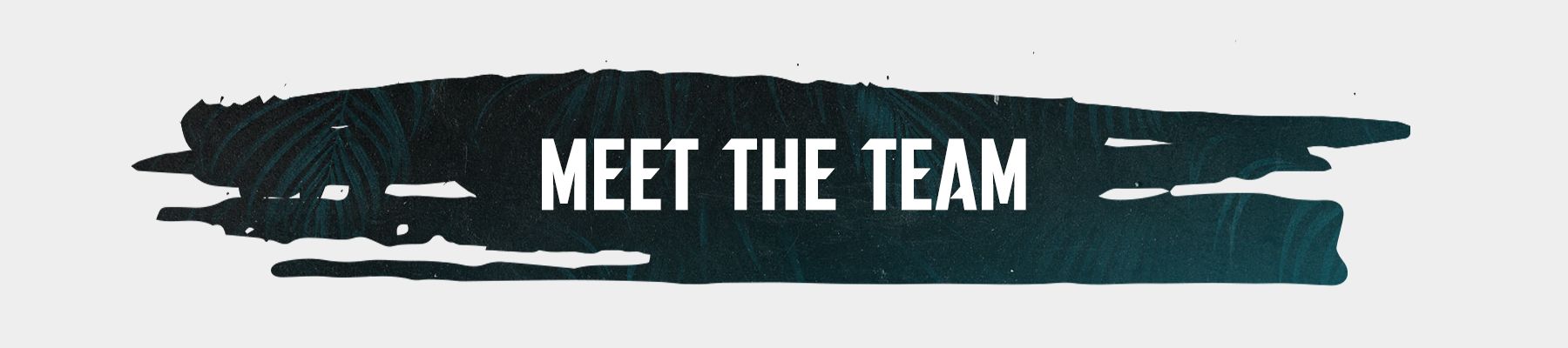 Meet-The-Team