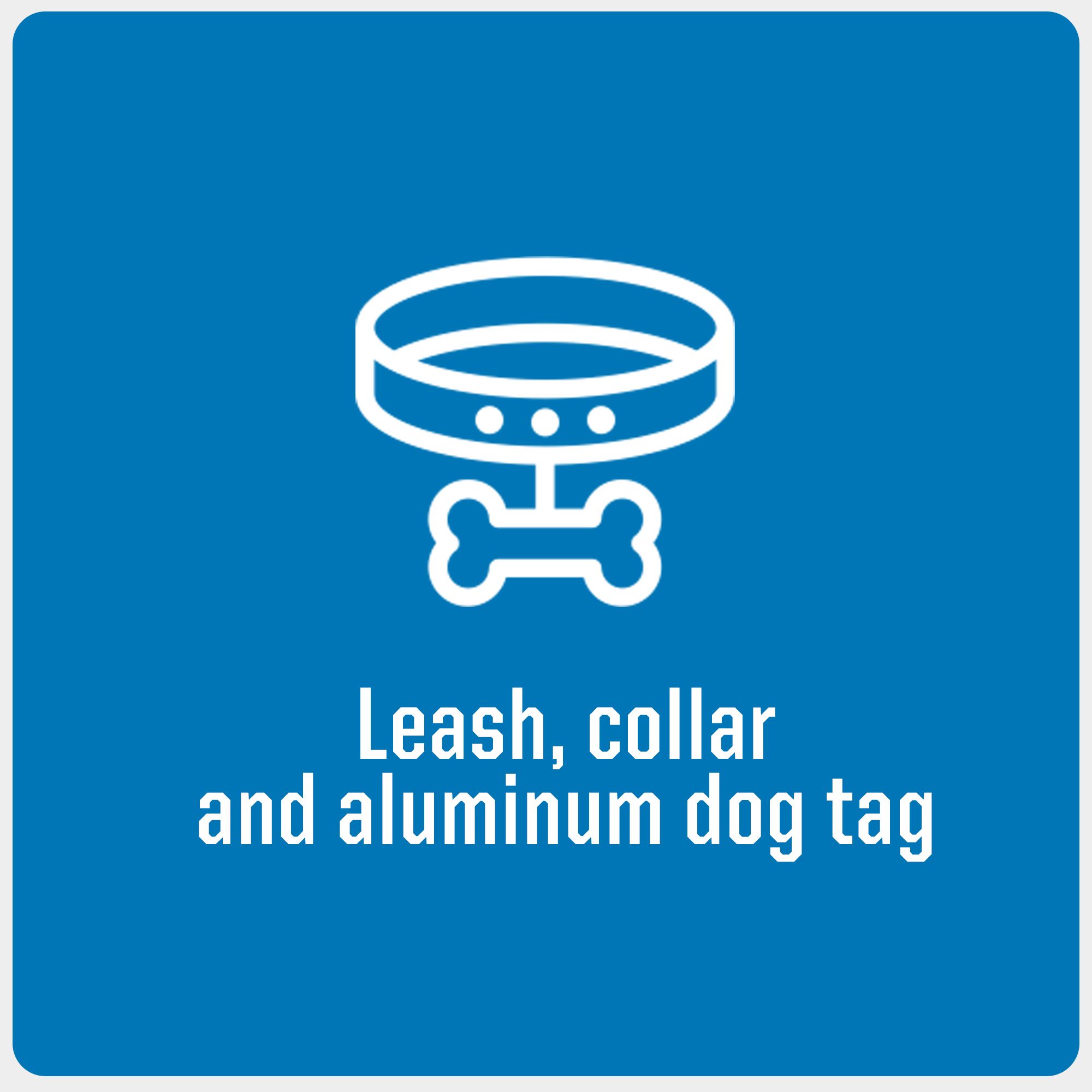 Detroit Lions Podcast Dog Tag - The Detroit Lions Podcast