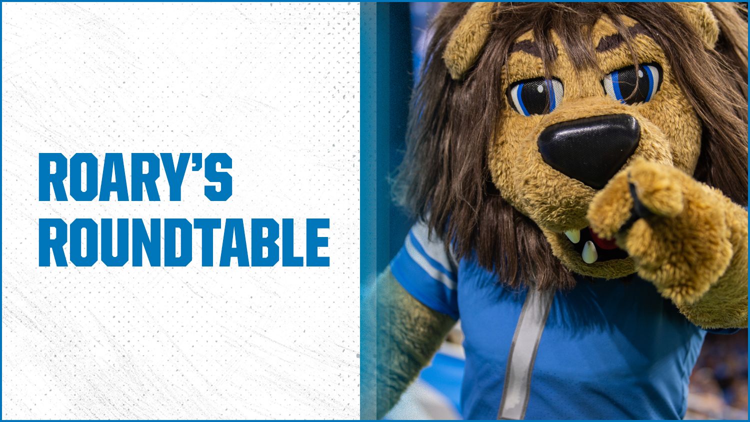 Roary Alert Detroit Lions mascot Roary.  Nfl detroit lions, Lions  football, Mascot