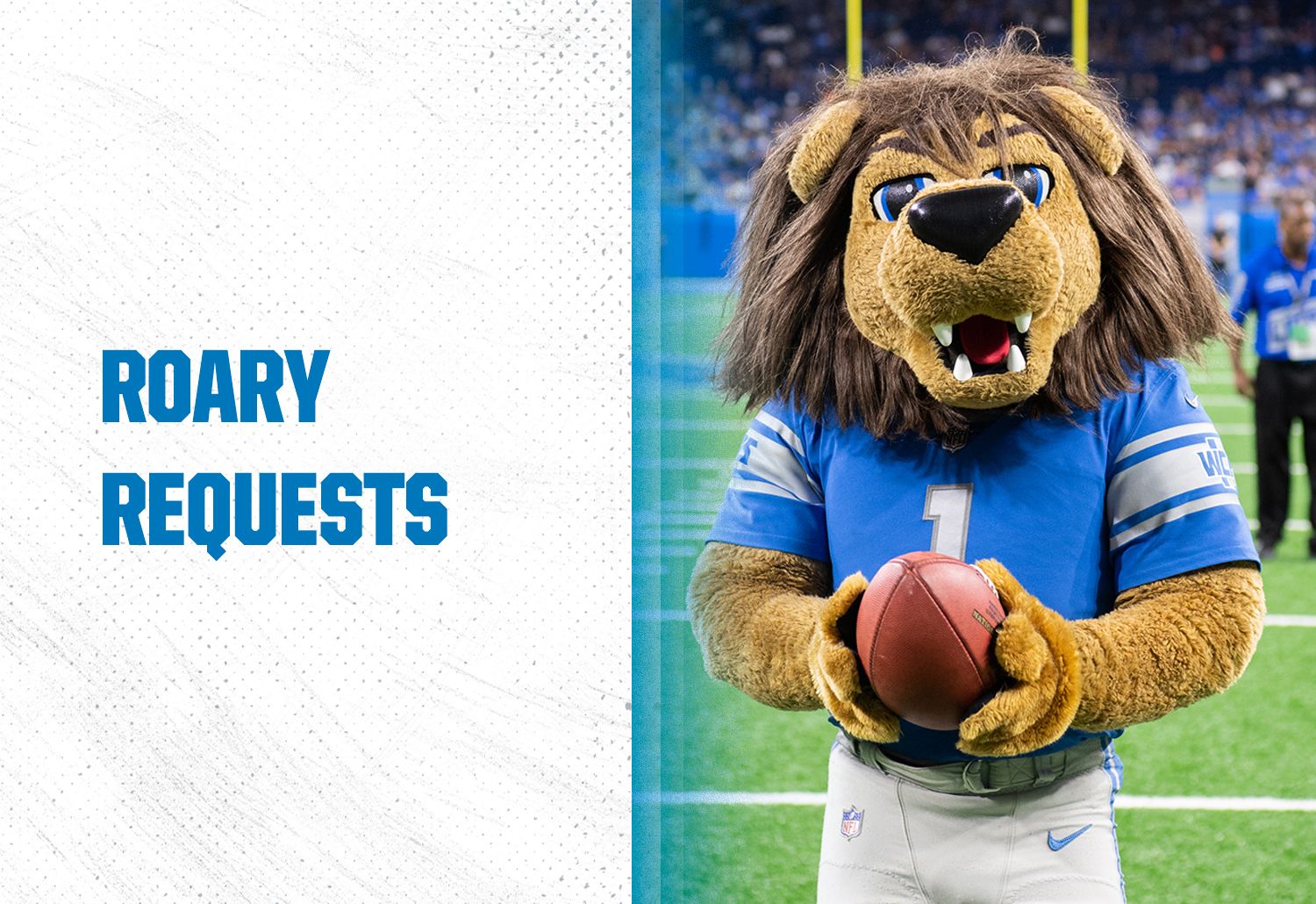 Get your dogs and cats ready to support the Detroit Lions with these NFL-themed  items from Chewy 