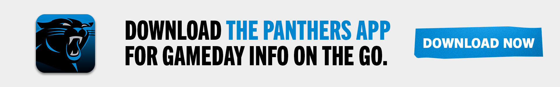 2023 Panthers Game Day Guide  Carolina Panthers 