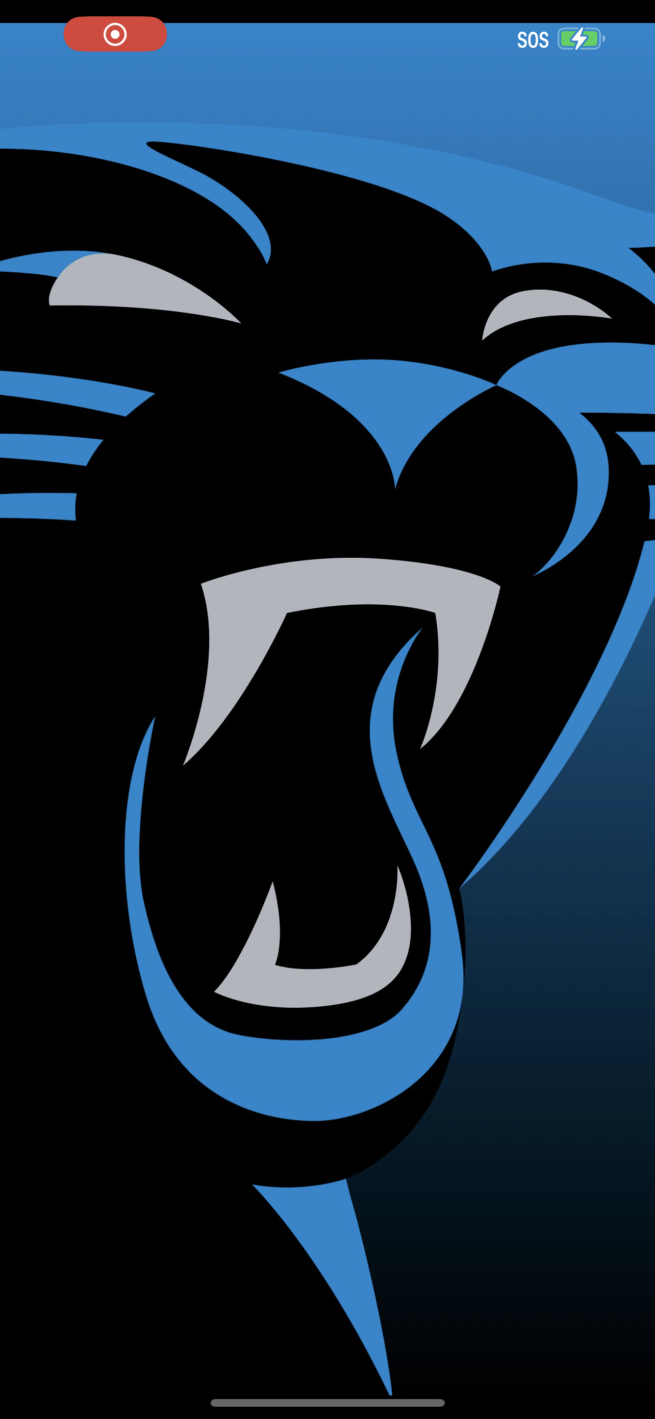 Carolina panthers 2022 HD phone wallpaper