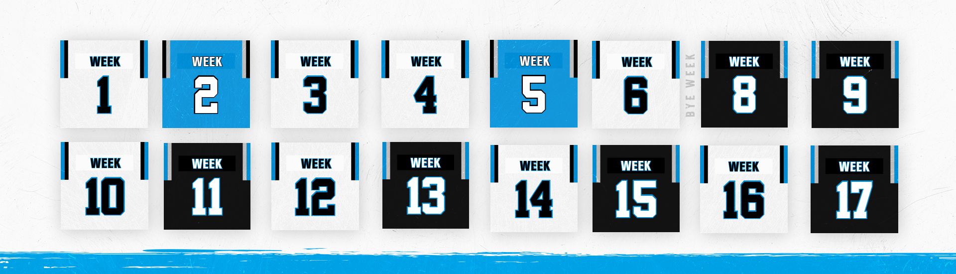 Game Day Carolina Panthers