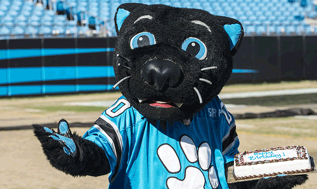 Sir Purr on a bike!  Panther nation, Carolina panthers, Panthers