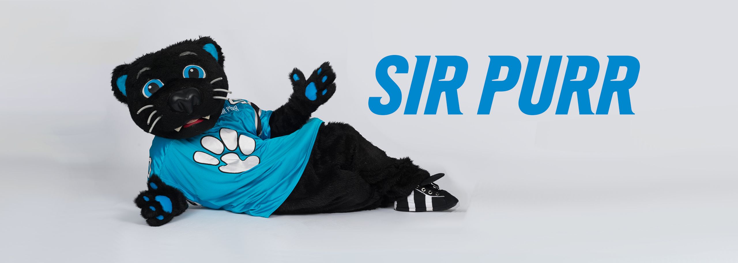 Sir Purr - 