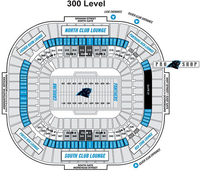 YouTheFan NFL Carolina Panthers 3D StadiumViews Desktop Display - Bank of America  Stadium 8491300 - The Home Depot