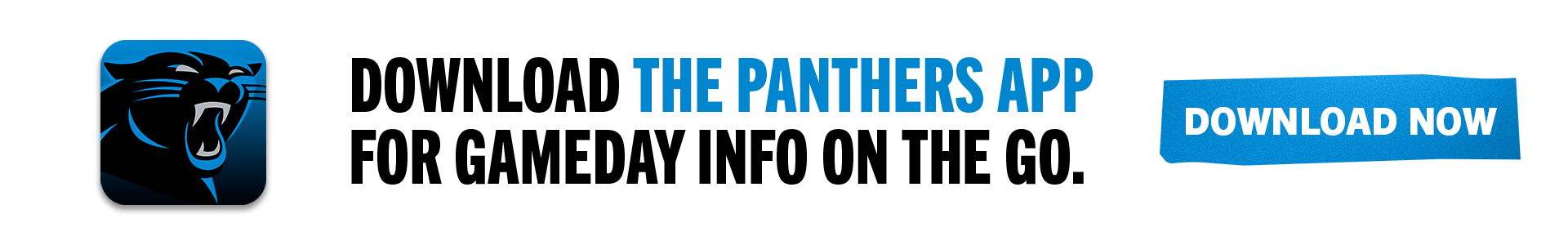 2022 Panthers Game Day Guide  Carolina Panthers 