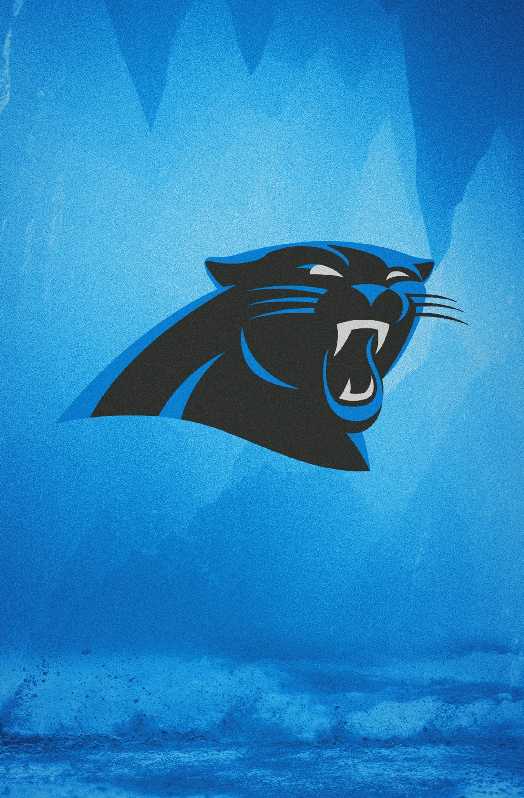 Panthers' winning streak boosts Christmas sales