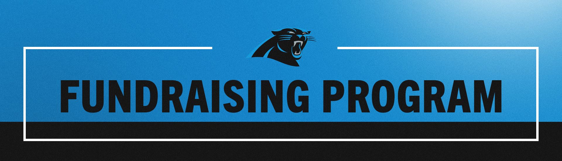 Panthers Group Tickets Sales  Carolina Panthers 