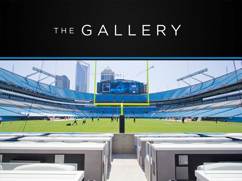 The Gallery Field Suites  Carolina Panthers 