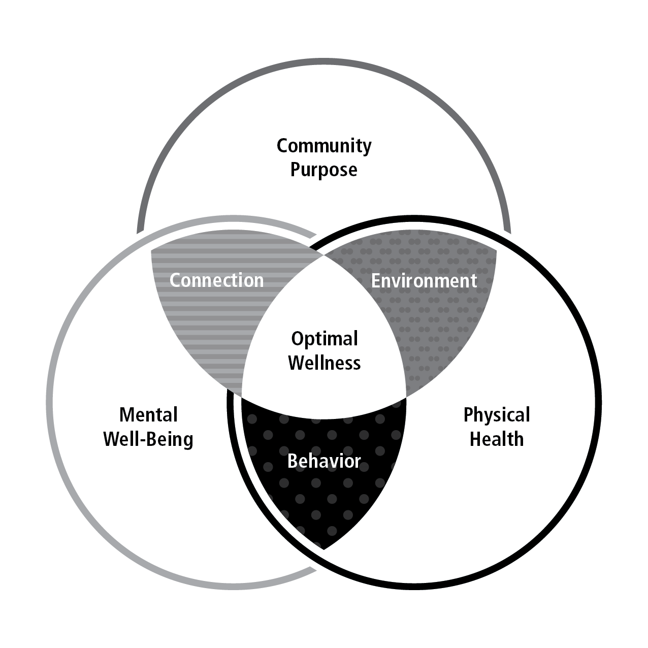 Raiders-FIT-Venn-Diagram-v2-01