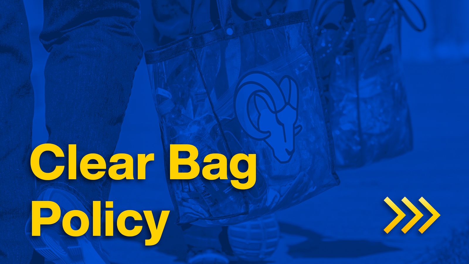 2021-gameday-clear bag