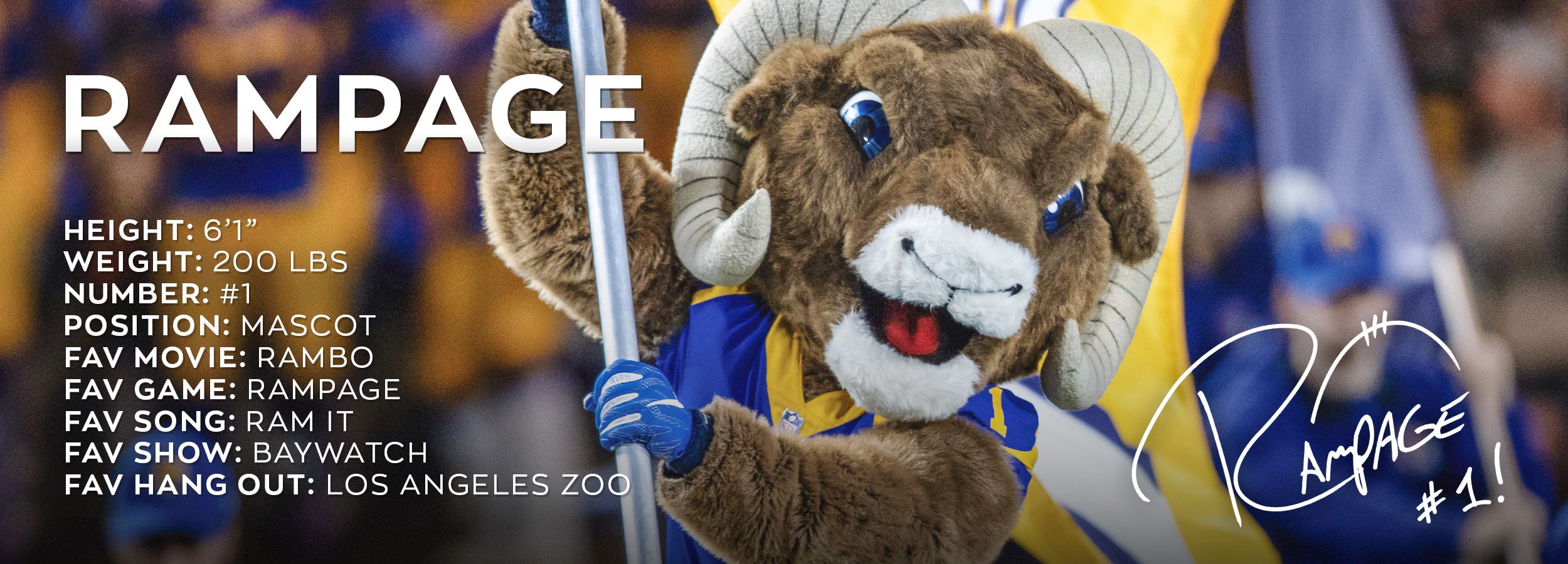 Who Is Los Angeles Rams Mascot, Rampage?