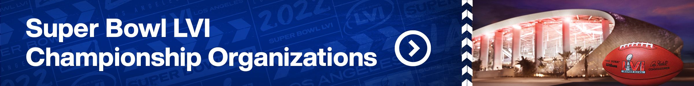 2021-SBLVI-orgs-banner