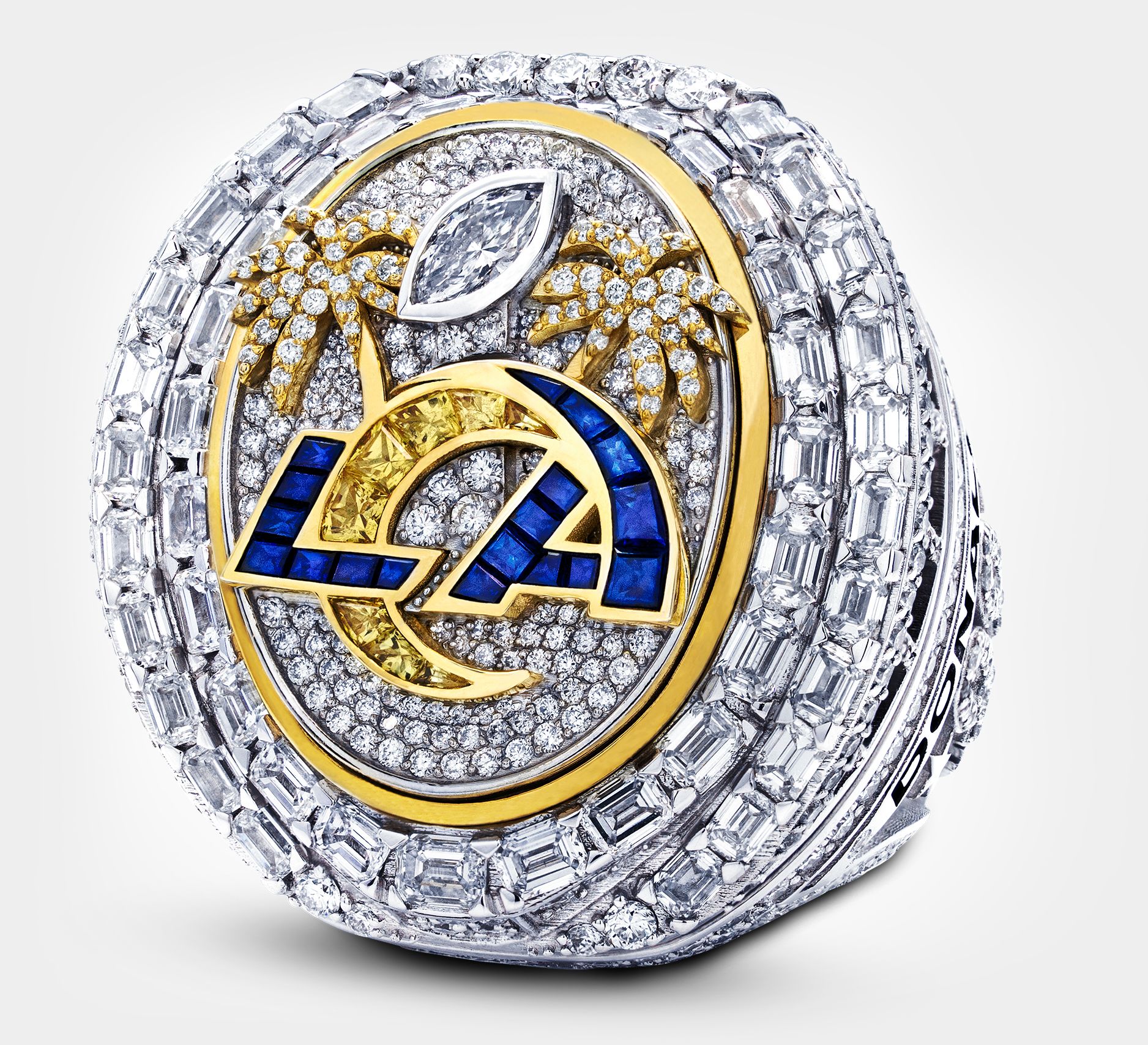 NFL Championship Rings