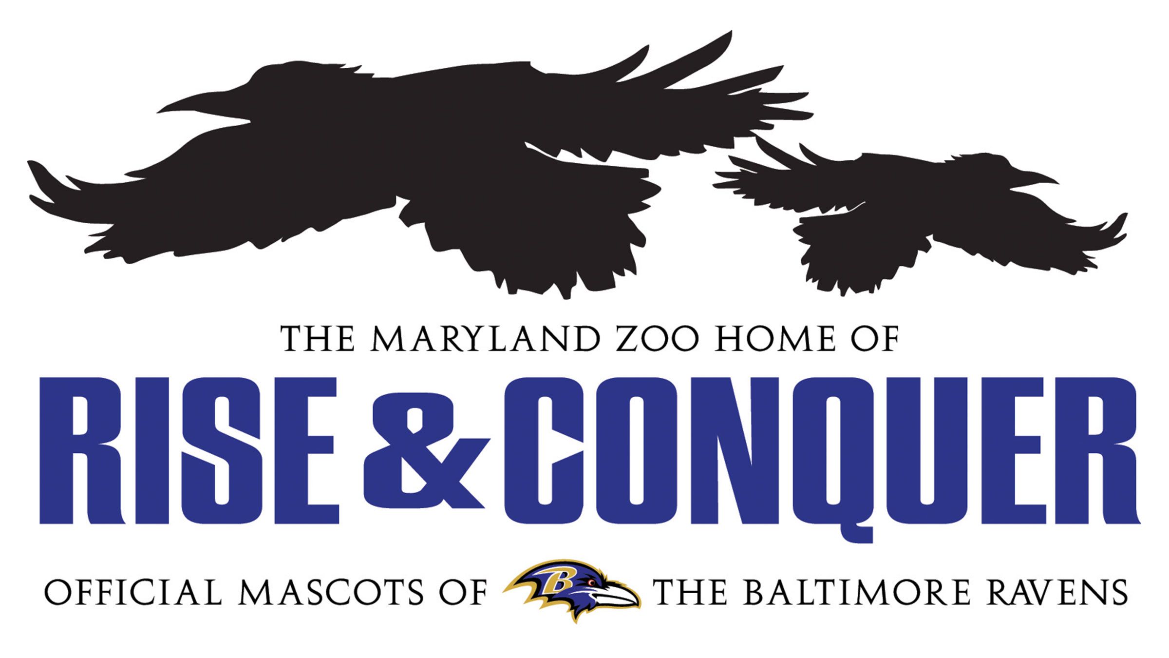 Baltimore Ravens, RISE