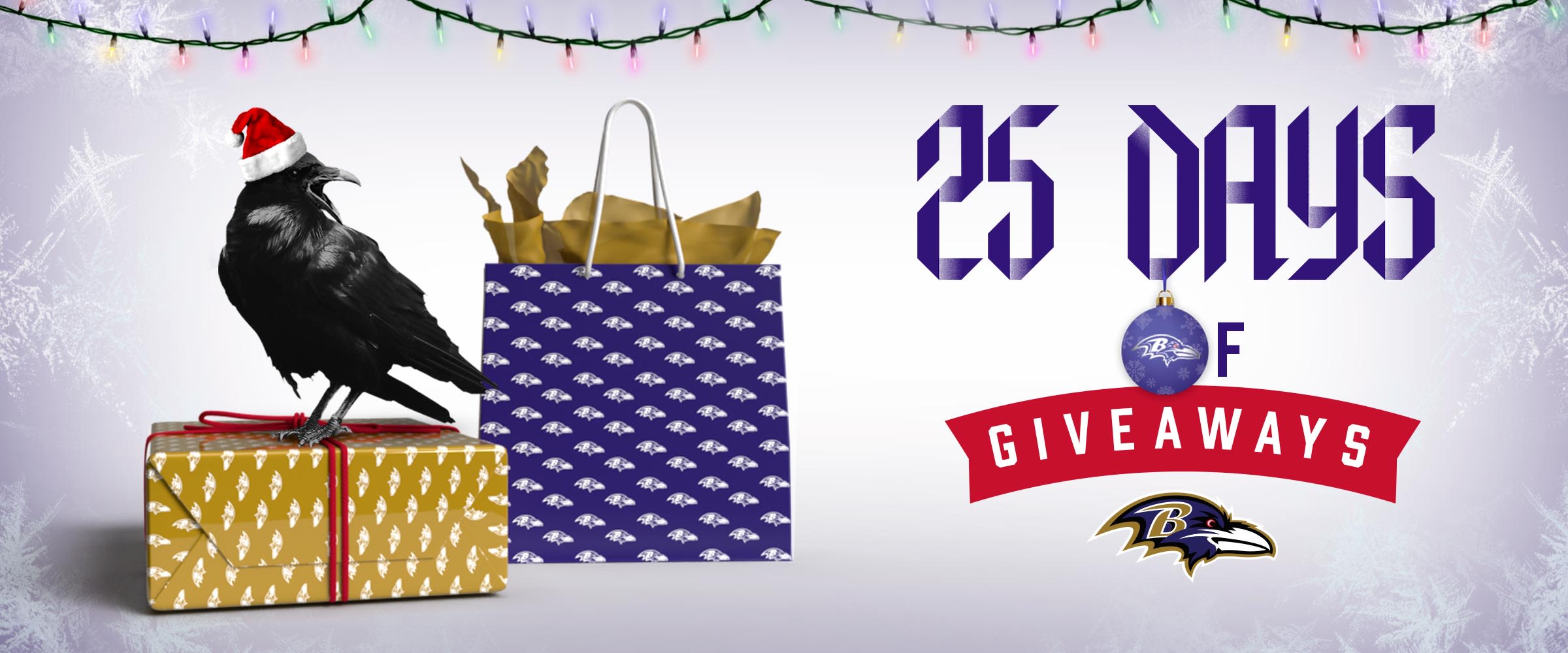 baltimore ravens gifts