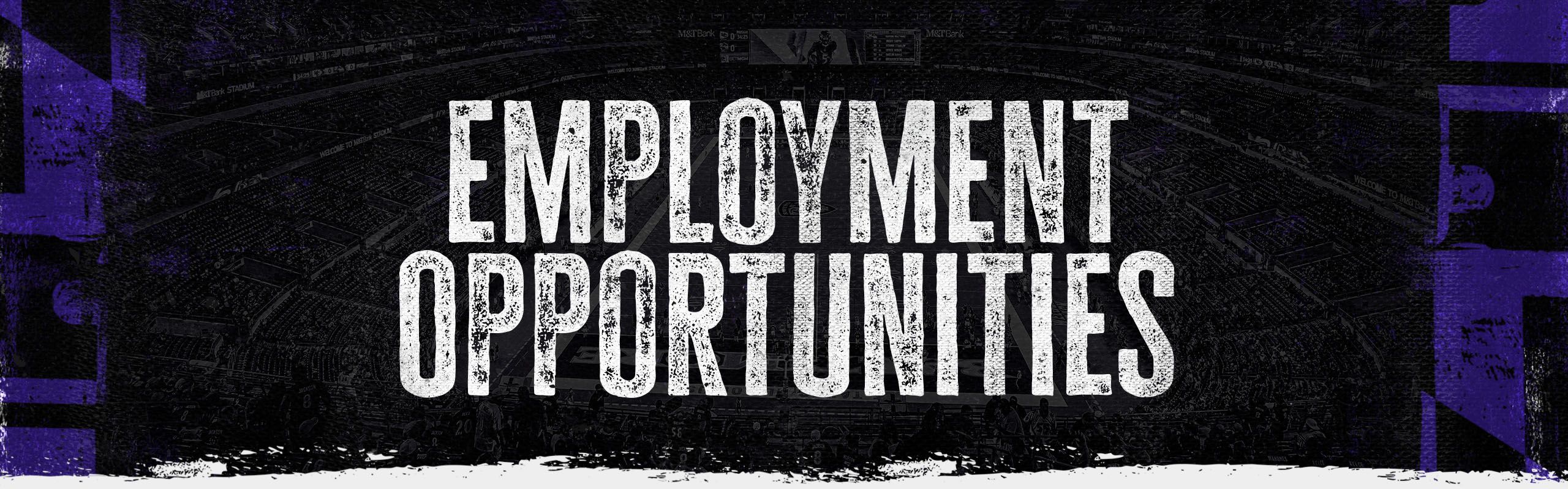 Ravens Employment Opportunities  Baltimore Ravens –