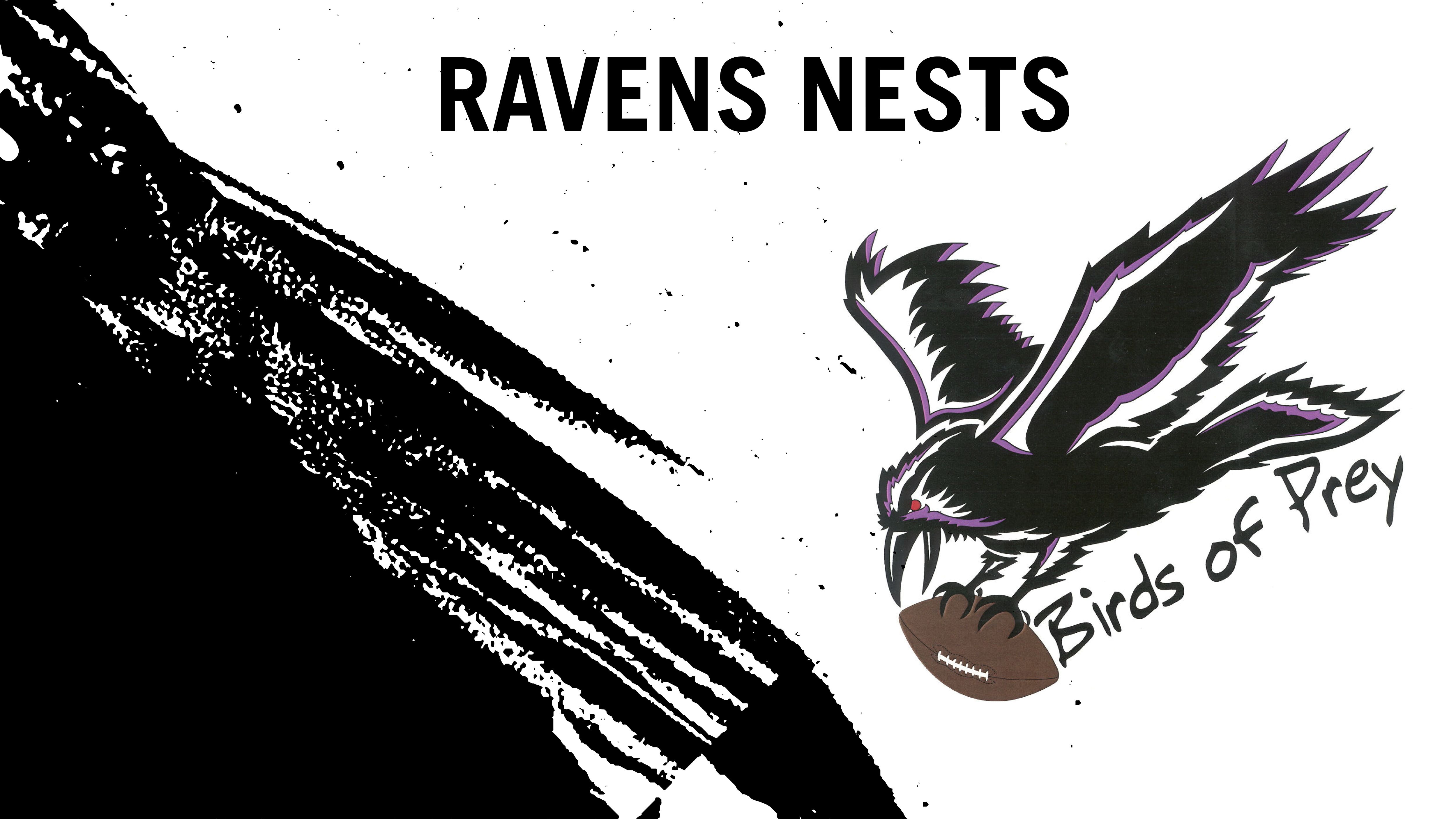 BALTIMORE RAVENS: The Ravens logo gets a dark upgrade to look more like the  bird it