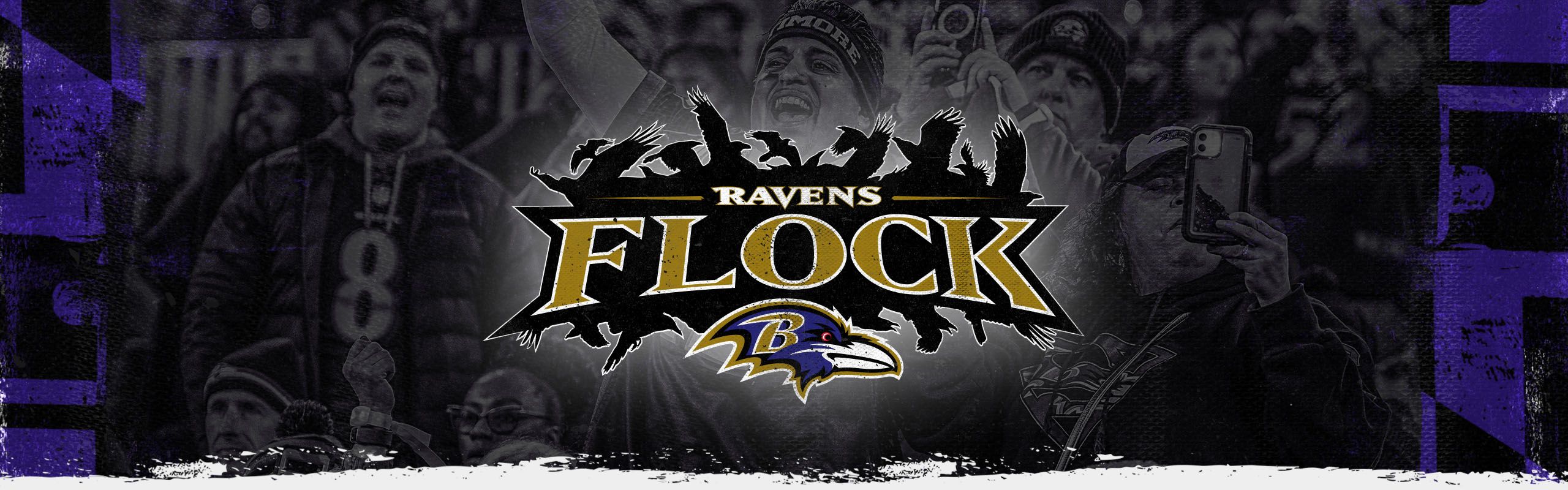 Ravens Flock  Baltimore Ravens –